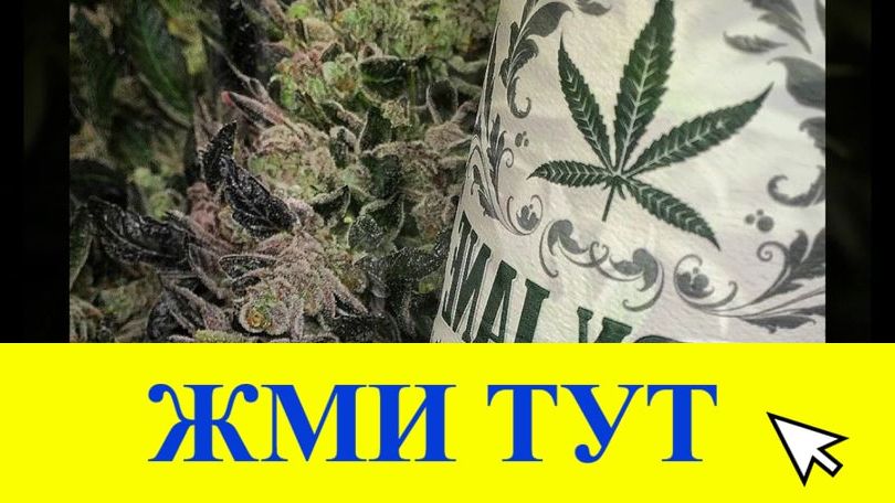 Купить наркотики в Кудрово